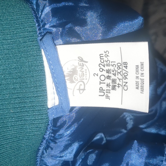 Disney Lion Kings Tamone plush & Lion Guard jacket - Picture 6 of 6